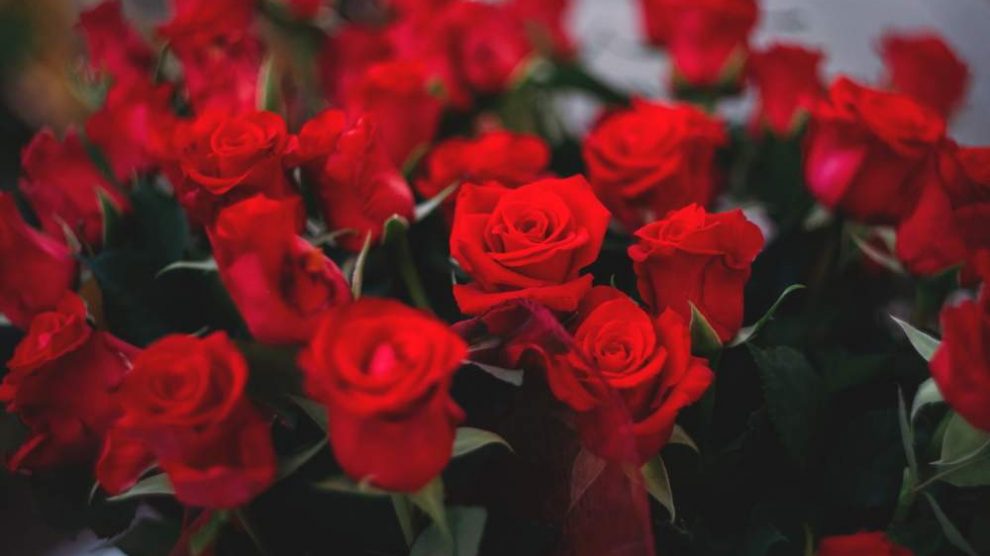 roses for love